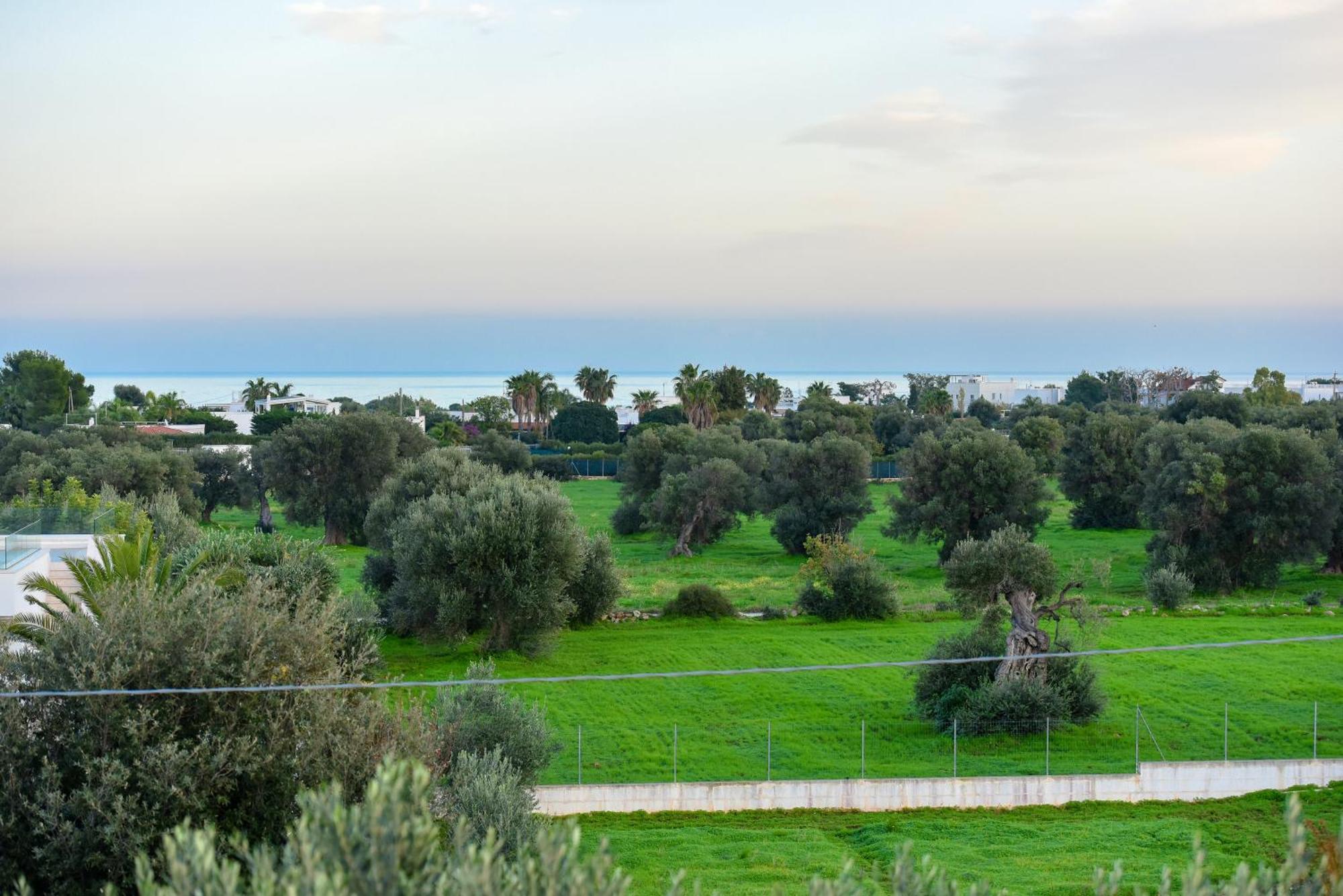 Villa Vinner - Monopoli Kültér fotó